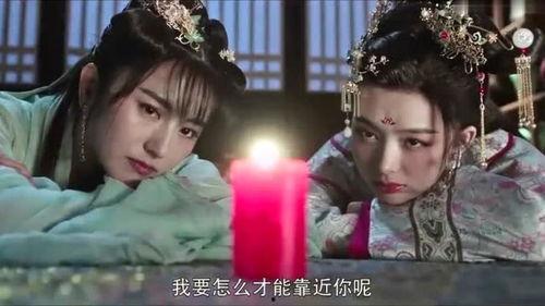 我的丫鬟是总监,我的总监生涯