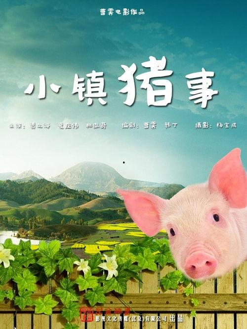 小镇猪事,探寻乡村养殖业的魅力与挑战